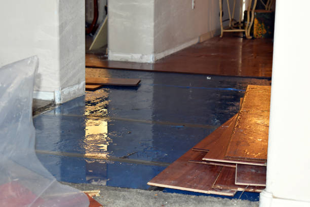 Professional Storm Water Damage Restoration technician working in Mazon, IL